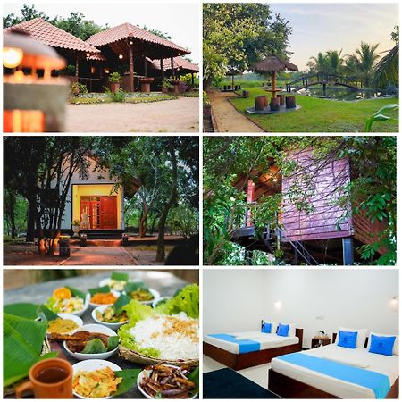 Ceylon Amigos Eco Resort Sigiriya Eksteriør billede
