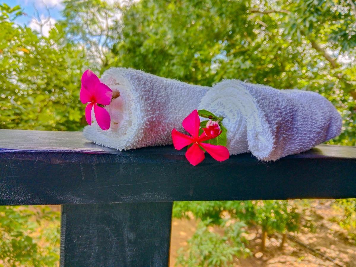 Ceylon Amigos Eco Resort Sigiriya Eksteriør billede