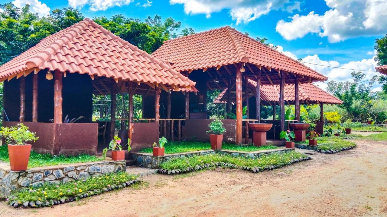 Ceylon Amigos Eco Resort Sigiriya Eksteriør billede