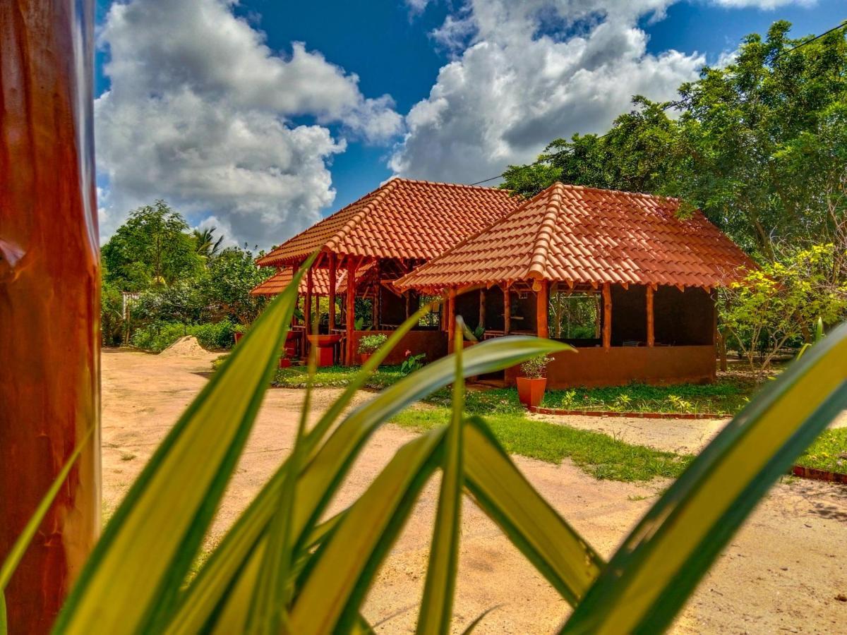 Ceylon Amigos Eco Resort Sigiriya Eksteriør billede