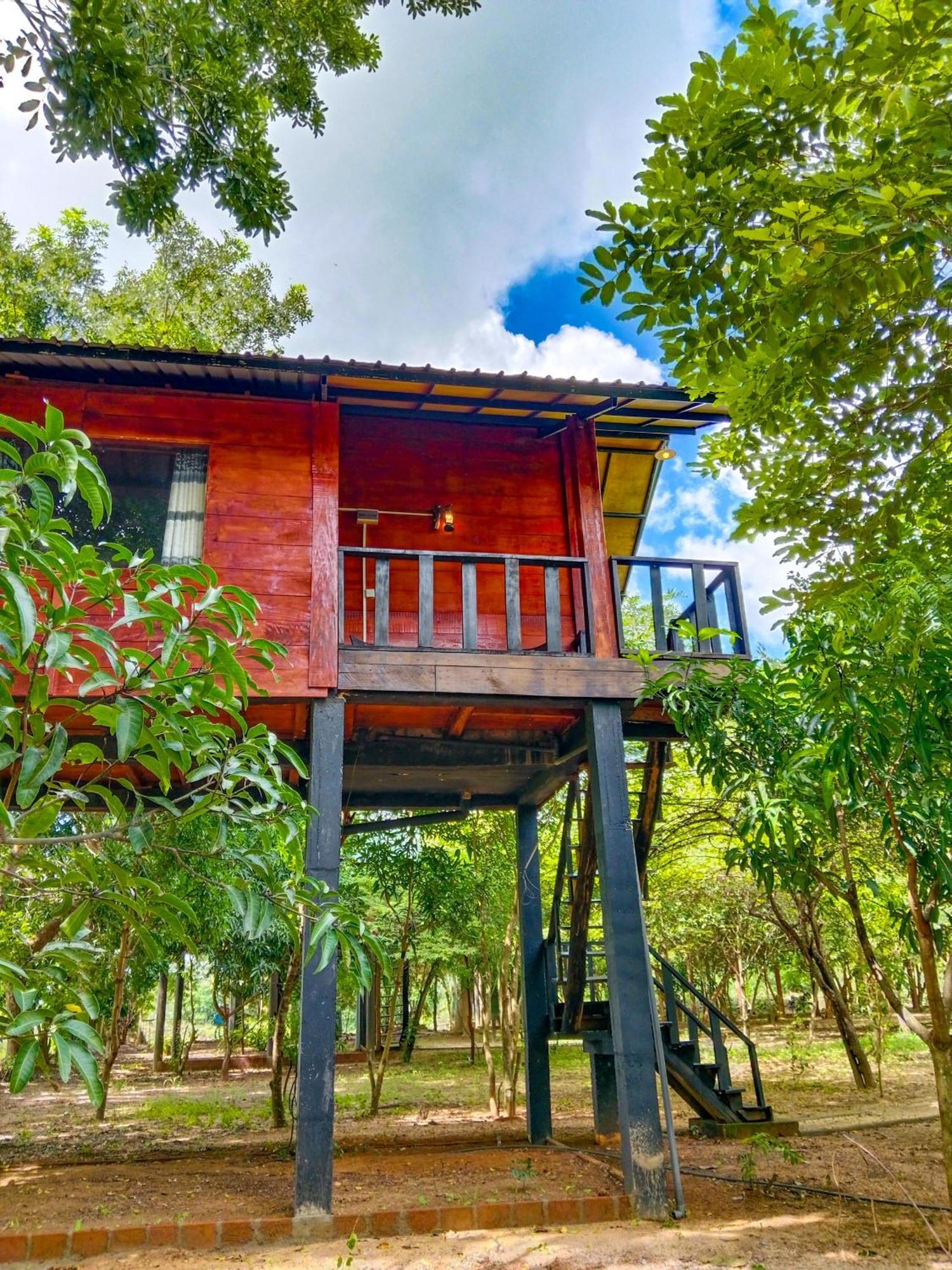 Ceylon Amigos Eco Resort Sigiriya Eksteriør billede