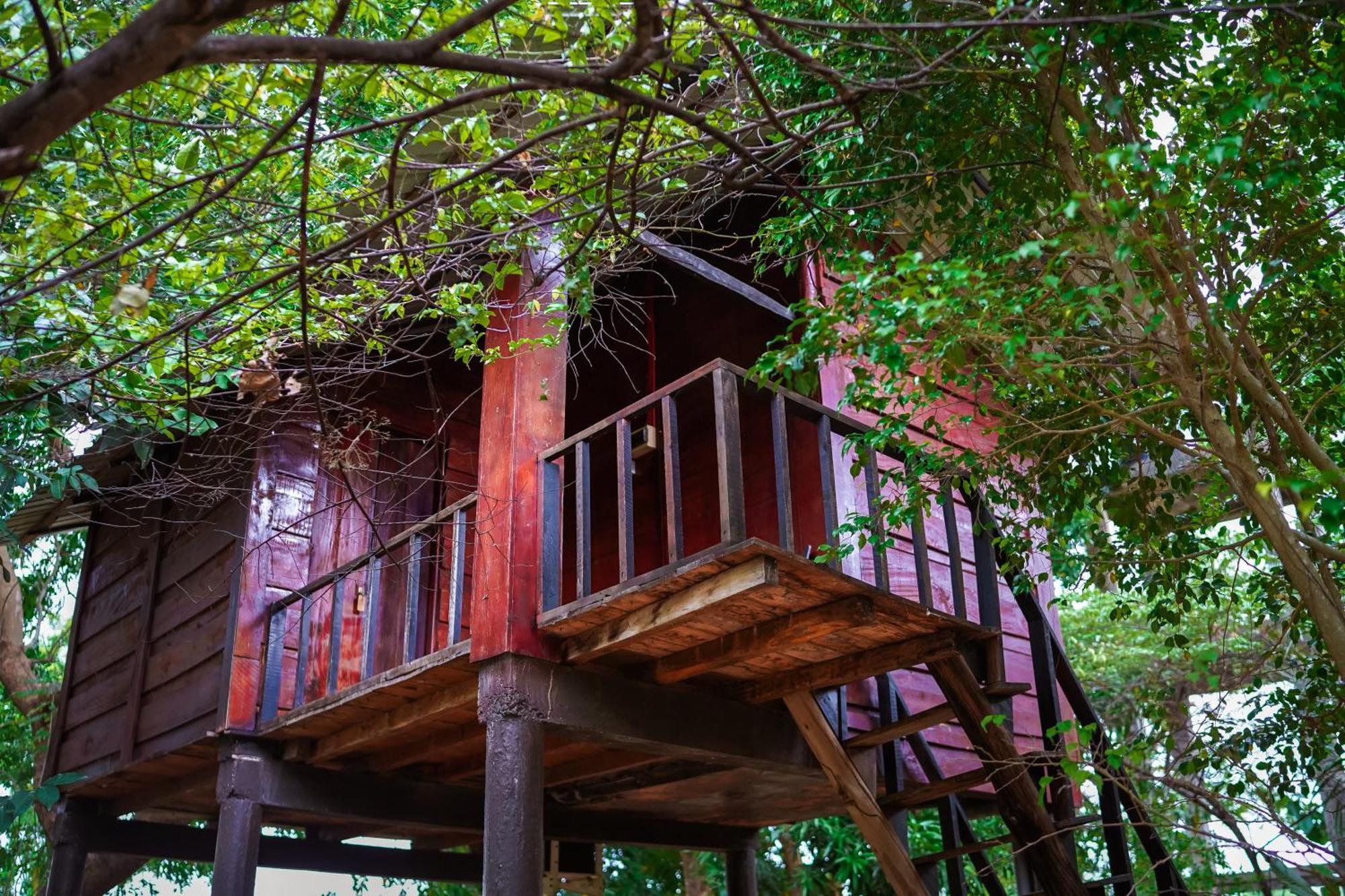 Ceylon Amigos Eco Resort Sigiriya Eksteriør billede